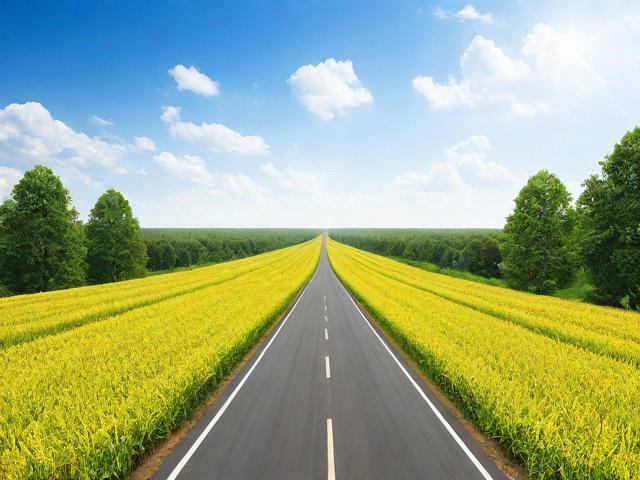 【高速公路可以种庄稼吗吗,高速公路旁边可以种树吗】
